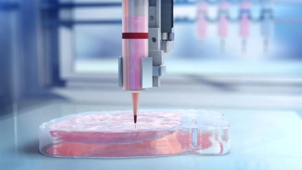 3D Bioprinting Market 2022-2027: Industry Report, Growth, Analysis and Forecast