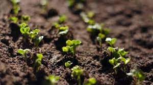 Agricultural Testing Market Opportunities and Forecast to 2028