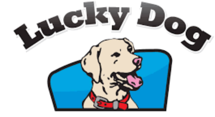 Lucky Dog, Lucky Dog Glass, Lucky Dog Auto Glass